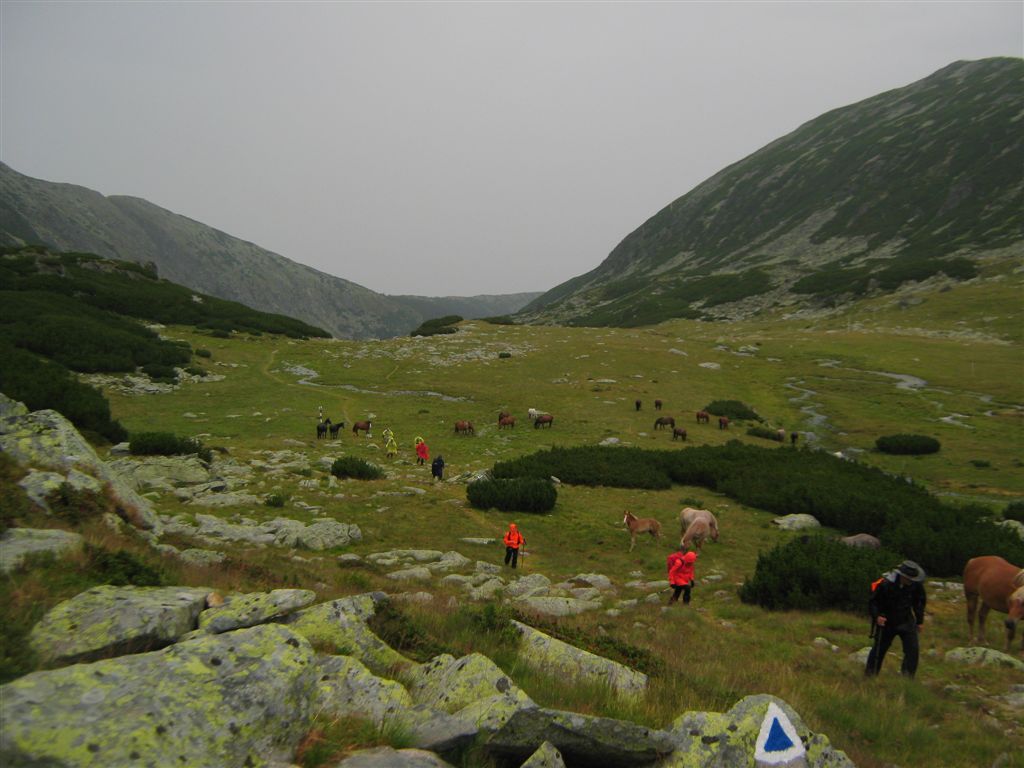Karpati 2012